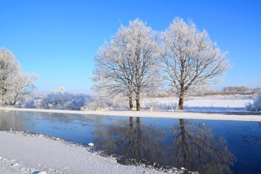 Two oaks on coast river clipart