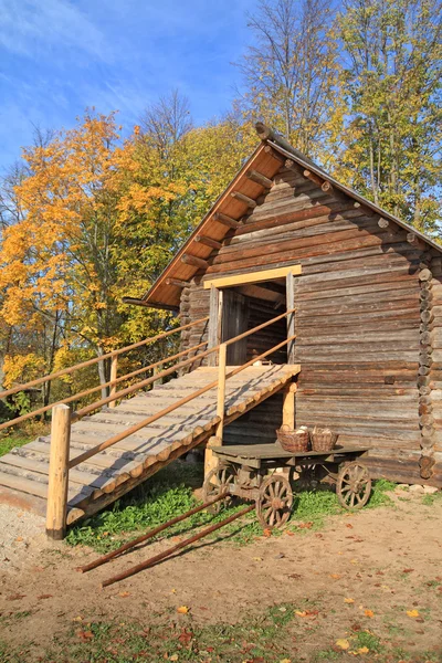 Stárnutí vozík poblíž dřevěné stodoly — Stock fotografie