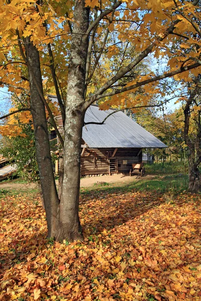 Jesienią drzewa w pobliżu starej stodole — Zdjęcie stockowe