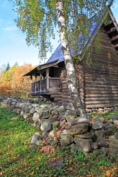 Betulla invecchiamento vicino edificio in legno — Foto Stock