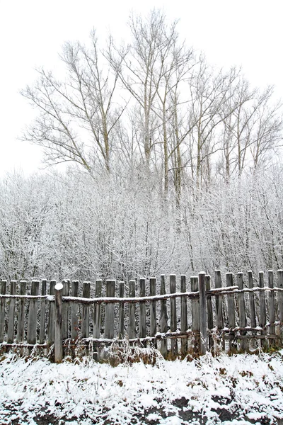 Oude grijze hek in sneeuw — Stockfoto