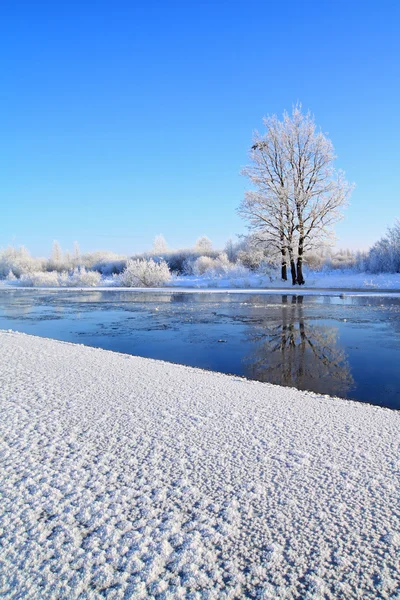 Кристаллический лед на берегу реки — стоковое фото