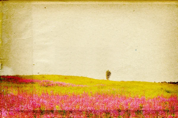 Lupine op veld op grunge achtergrond — Stockfoto