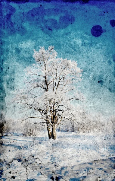 Tree in snow ongrunge background — Stock Photo, Image