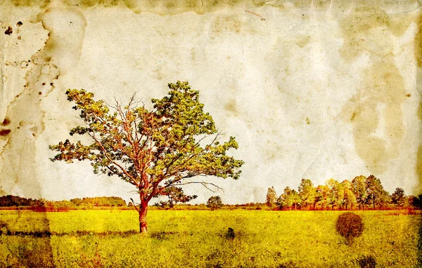 Старий дуб на старому папері — стокове фото