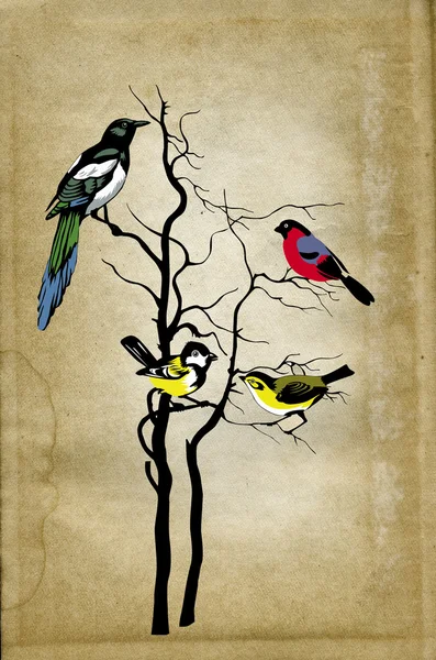 Птицы на дереве на фоне гранжа — стоковое фото