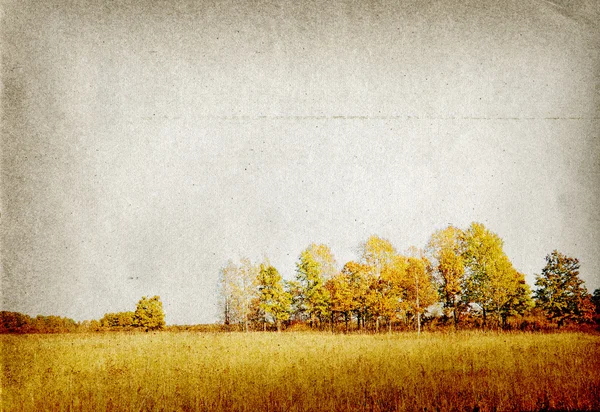 Herbstlandschaft auf Grunge-Hintergrund — Stockfoto