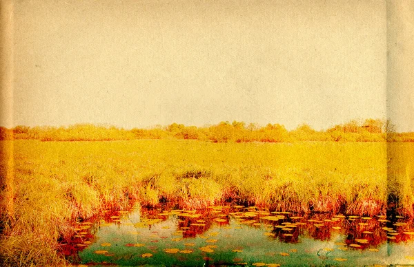 Озеро на полі на гранжевому фоні — стокове фото