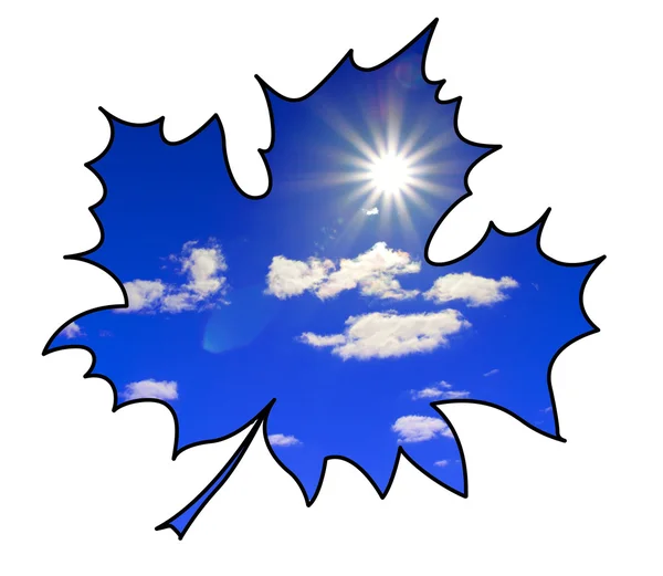 Silhouette des Ahornblattes auf weißem Hintergrund — Stockfoto