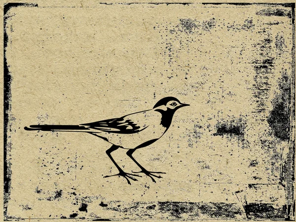 Silueta pájaro en grunge fondo — Foto de Stock