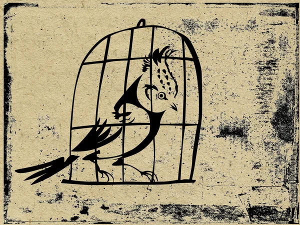 Fågel i buren på grunge bakgrund — Stockfoto