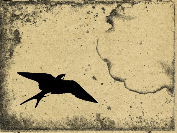 グランジ背景に飛ぶツバメ — ストック写真
