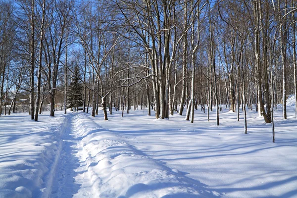 Pista de neve no parque de inverno — Fotografia de Stock