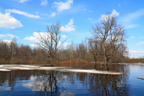 Spring ice on small river — Stock Photo, Image