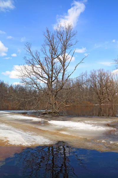 Gelo de primavera em pequeno rio — Fotografia de Stock