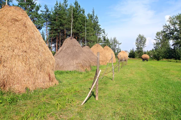 Yeşil alan üzerinde saman yığını — Stok fotoğraf