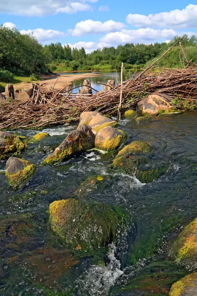 Szybki przepływ wśród kamieniu — Zdjęcie stockowe