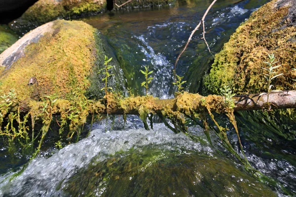 Schneller Fluss zwischen Steinen — Stockfoto