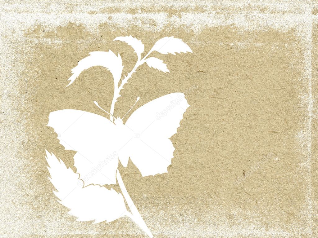 Butterfly on grunge background