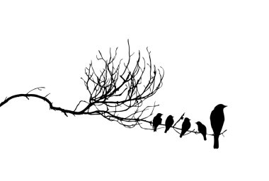 Vector silhouette of the birds on branch clipart