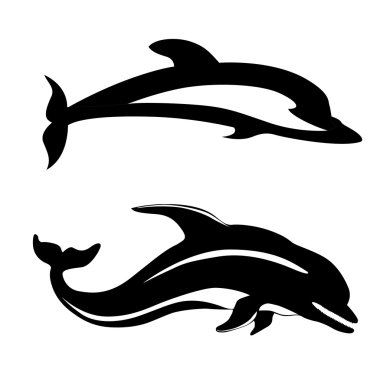 two dolphins on white background clipart