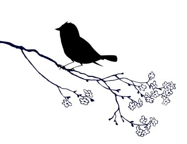 Beyaz arkaplanda kuş silueti, vektör illüstrasyonu