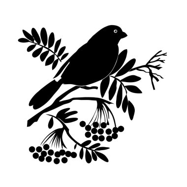 Vector silhouette of the bird on white background clipart