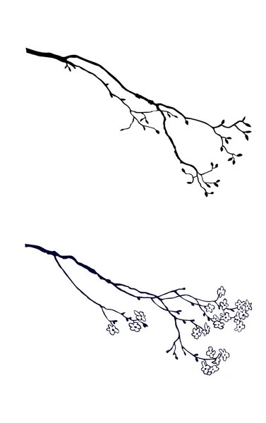 在白色背景上的分支树的剪影 — 图库矢量图片