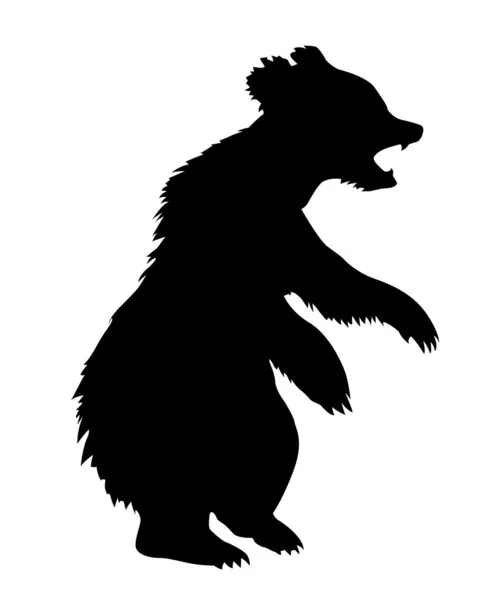 Niedźwiedź ilustracja na białym tle — Wektor stockowy