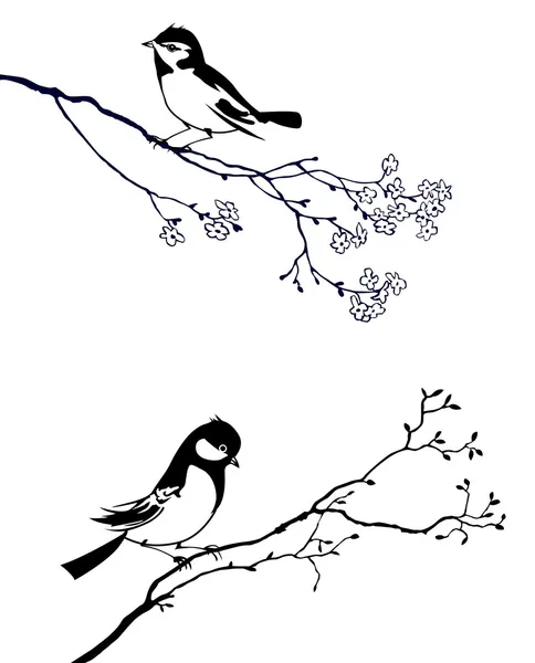 Lintujen vektorisiluetti oksapuussa — vektorikuva