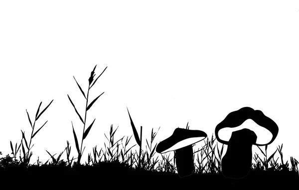 Silhouette vectorielle du roseau isolé sur fond blanc — Image vectorielle