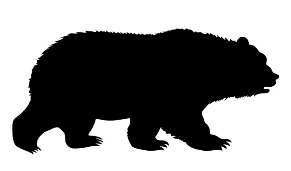 Силуетний ведмідь на білому тлі — стоковий вектор