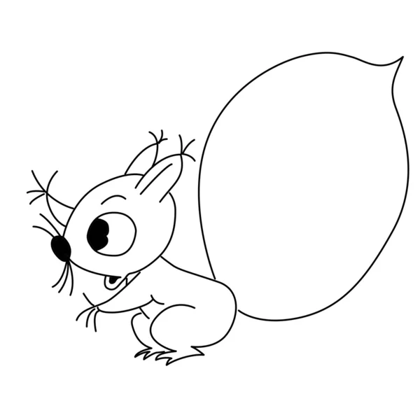 Disegno scoiattolo su sfondo bianco — Vettoriale Stock