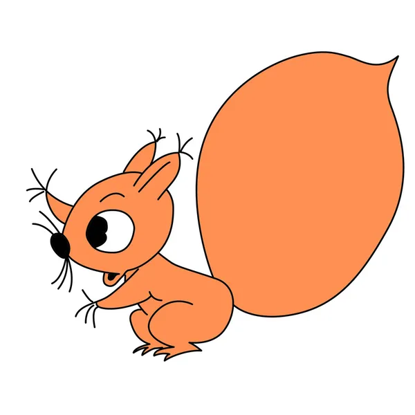 Vektor Zeichnung Eichhörnchen auf weißem Hintergrund — Stockvektor