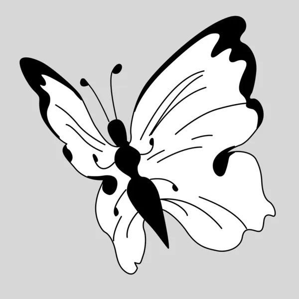 Vector blanqueamiento mariposa sobre fondo gris — Archivo Imágenes Vectoriales