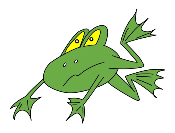 Vector green frog on white background — Stock Vector