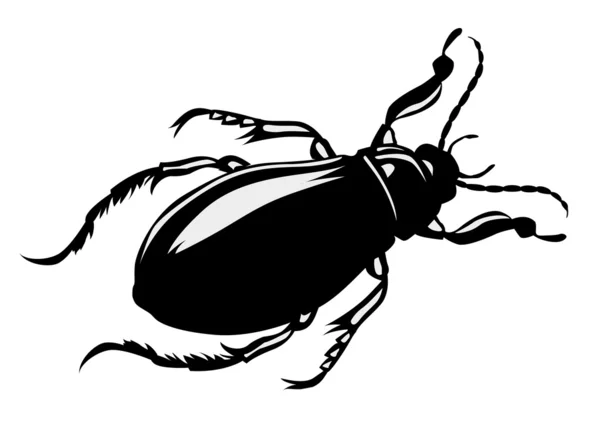 Векторний жук силуету на білому тлі — стоковий вектор