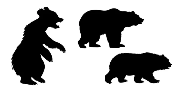 Набор медведей на белом фоне — стоковый вектор