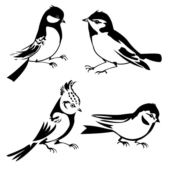 Silhueta de aves em fundo branco, ilustração vetorial — Vetor de Stock