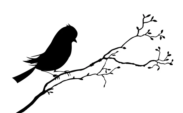 Silueta de aves sobre fondo blanco, ilustración vectorial — Archivo Imágenes Vectoriales