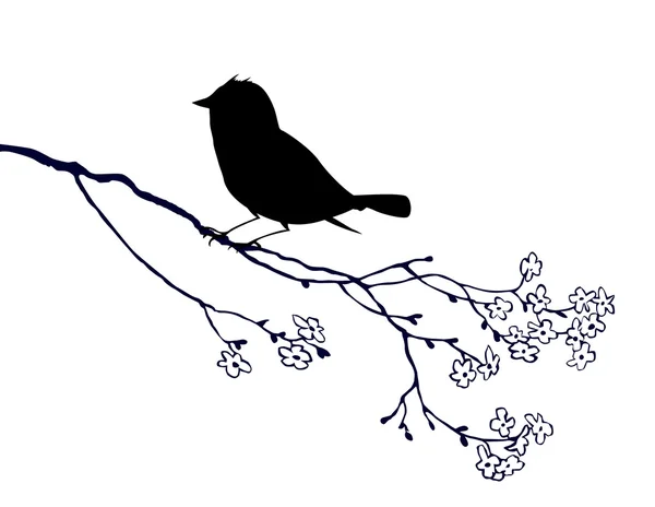 Птичий силуэт на белом фоне, векторная иллюстрация — стоковый вектор