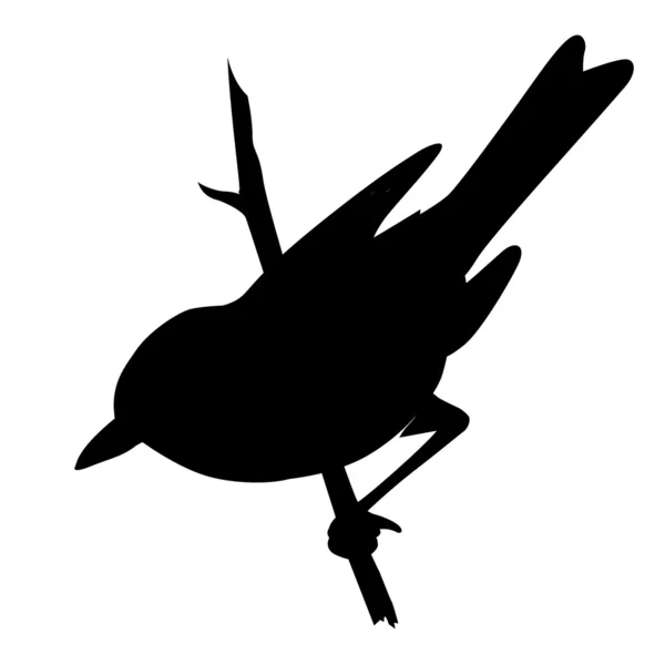 Pták silueta na bílém pozadí, vektorové ilustrace — Stockový vektor