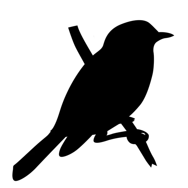 Σιλουέτα πουλιών σε λευκό φόντο, διανυσματική απεικόνιση — Διανυσματικό Αρχείο
