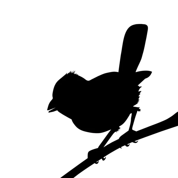 Vogelsilhouette auf weißem Hintergrund, Vektorillustration — Stockvektor