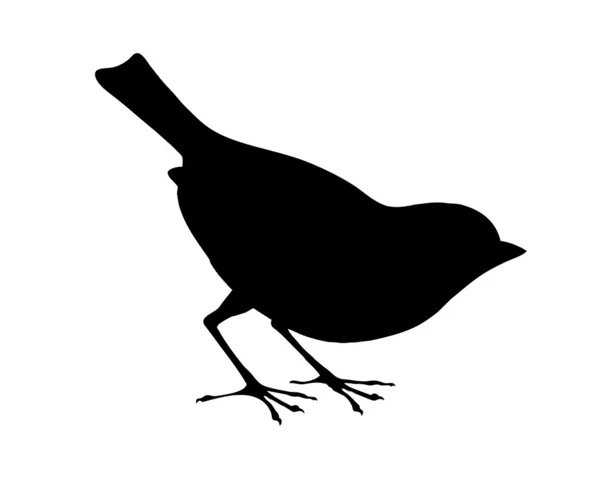 Vogelsilhouette auf weißem Hintergrund, Vektorillustration — Stockvektor