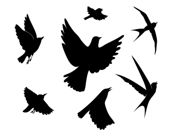 Silueta de aves voladoras sobre fondo blanco, ilustración vectorial — Vector de stock