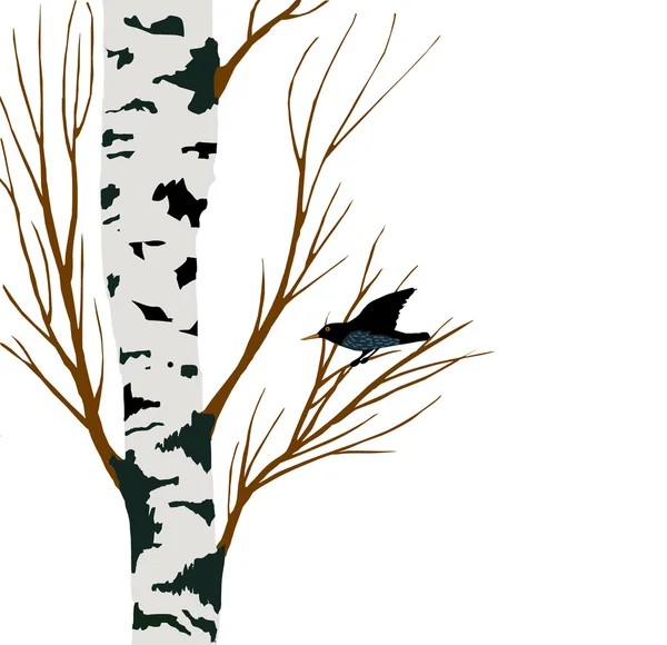 史达琳对桦木绘图，矢量图 — 图库矢量图片