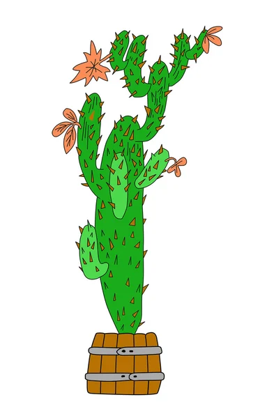 Grüner Kaktus auf weißem Hintergrund, Vektorillustration — Stockvektor