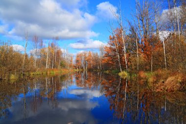 sonbahar ahşap sahil Nehri üzerinde