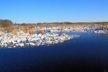 donma marsh'ın sonbahar buza